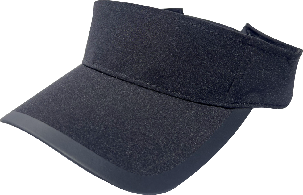 Pilot Visor