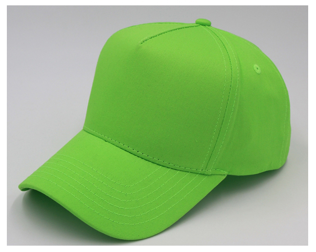 5 Panel Costa